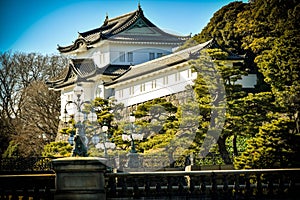 Imperial palace Tokyo garden