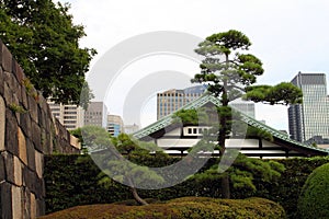 Imperial Palace, Tokyo, Japan photo