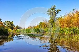 Imperial Pond