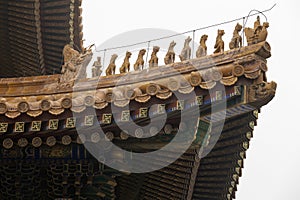 Imperial roof decoration in Forbidden City. Old building design photo