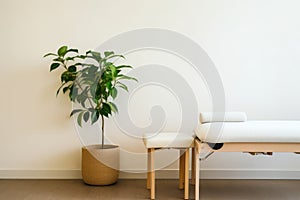 an impersonal therapy room with a plant, minimalist chair, and table