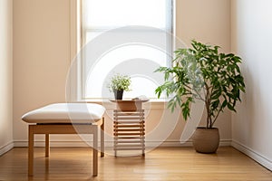 an impersonal therapy room with a plant, minimalist chair, and table