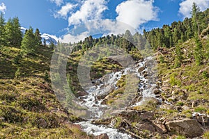 Impetuous stream fin the middle of fir and larches forest in an alpine valley