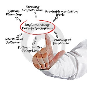 Implementing Enterprise System