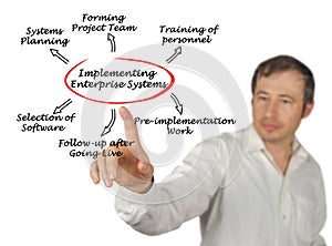 Implementing Enterprise System