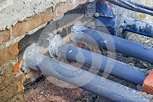 Importance of Rodent-Proof Construction, proper temporary rodent