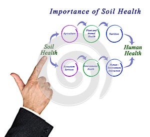 Importance of Soil Health