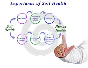 Importance of Soil Health