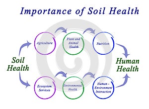 Importance of Soil Health photo