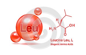 Important amino acid Leucine Leu, L and structural chemical formula