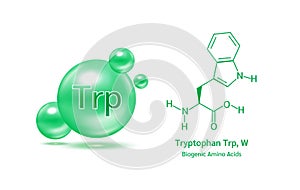 Important amino acid Tryptophan Trp, W and structural chemical formula and line model of molecule.