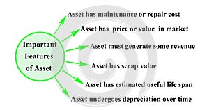 Important features of Asset