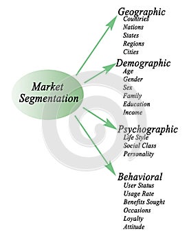 Market Segmentation