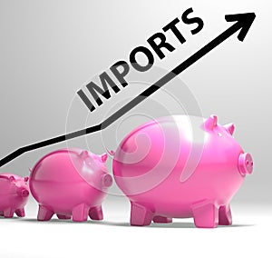 Imports Arrow Shows Buying And Importing photo