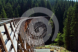 Kinsol Trestle from Northern End, Koksilah River Provincial Park, Vancouver Island, British Columbia, Canada photo