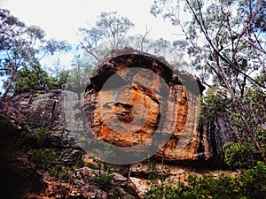 Imposing rock cliff in a eucalyptus forest in Australia