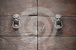 Imposing wooden door closed and barred with two symmetrical clappers ancient medieval style in the shape of lion