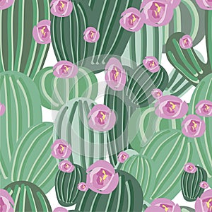 Cactus Flower Vector Pattern Seamless