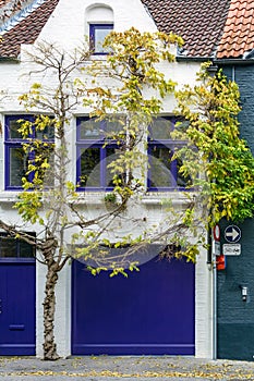 Impressing tree growing around sharply white medieval house with brightly navy blue windows, door and garage door photo