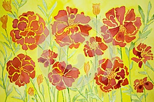 Impression of marigold on a yellow background.