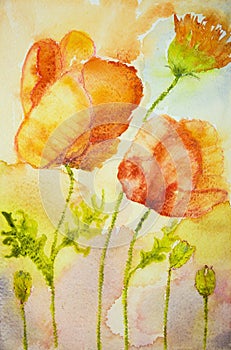 Impression of poppies against an orange background.