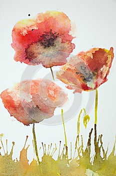 Impression of poppies in a field.