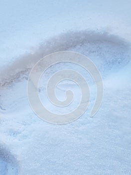 Impression of shoe on thick freshly fallen snow