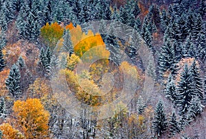 Dojem tatry