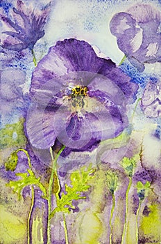 Impression of violets in a field.