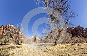 Impression from Virgin river walking path in the Zion National Park in winter