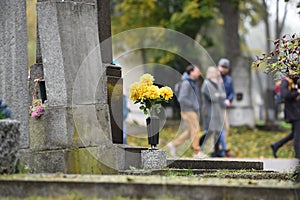 Impression from the Central Cemetery in Vienna photo