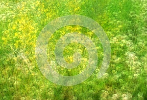 Impressionist Field with Wildflowers