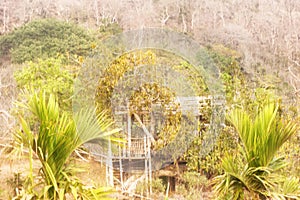 Impressionist landscape image forest