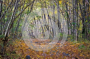 Impressionistic Style Artwork of Tall Autumn Trees Reaching for the Sky