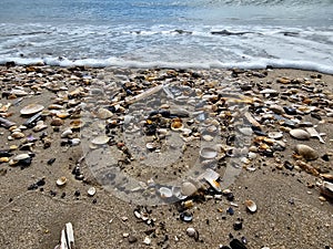 Blavand beach Denmark photo