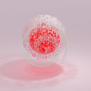 An impressive 3DCG illustration of a red oocyte with white zona