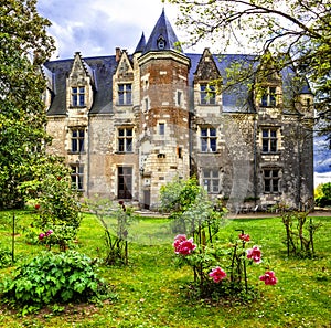 Impressive Chateau de Montresor,view with gardens,Loire valley,France.