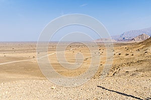 Impressive emptiness of the desert landscape with scattered Acacia trees