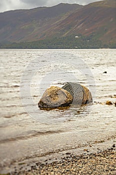 Impressive large rock with intricate carvings in Derwent Water, Lake District National Park, England