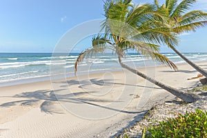 Impressive paradise beach at the Itacare Bahia Brazil