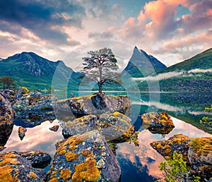 Impressive summer sunrise on the Innerdalsvatna lake. Colorful morning scene in Norway, Europe. Beauty of nature concept