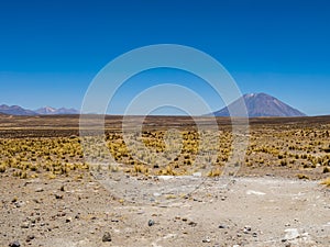 Impressive view of volcano Misti as seen from the highlands of Salinas Y Aguada Blanca National Reserve, Arequipa region, Peru