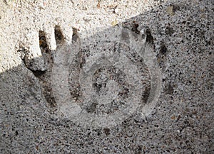 Imprint of an adultÃÂ´s hand in concrete photo