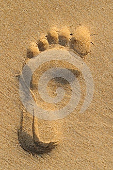 Imprint of human feet on sandy beach