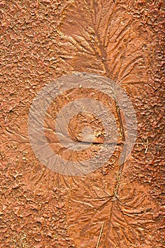 The Imprint leaf on cement floor background,ground texture background