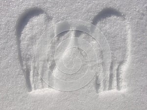 Imprint of mittens in snow