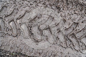 Imprint of an off-road vehicle tire on a dirty road