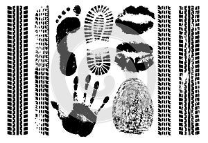 Imprint set evidence. Handprint, footprint, fingerprint, print of the lips, tire tracks. Isolated silhouette vector