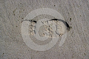 Imprint of the sole of a shoe in the wet brown sand of the beach