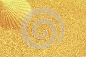 Imprints of big shell on a golden sand background